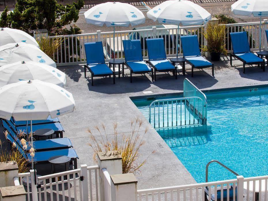 Sandpiper Beach Club Cape May Exteriör bild
